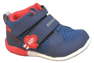 ���[���X�^�[�q���C